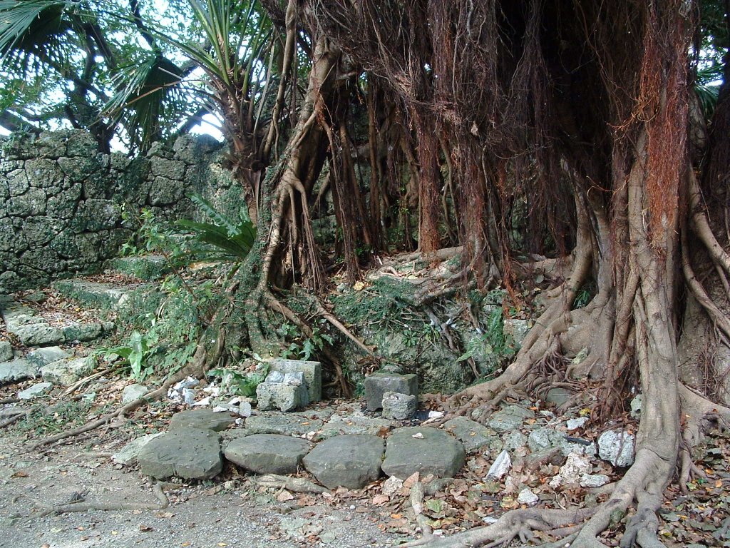 f:id:SQB:20130518174432j:image f:id:SQB:20130518174432j:image