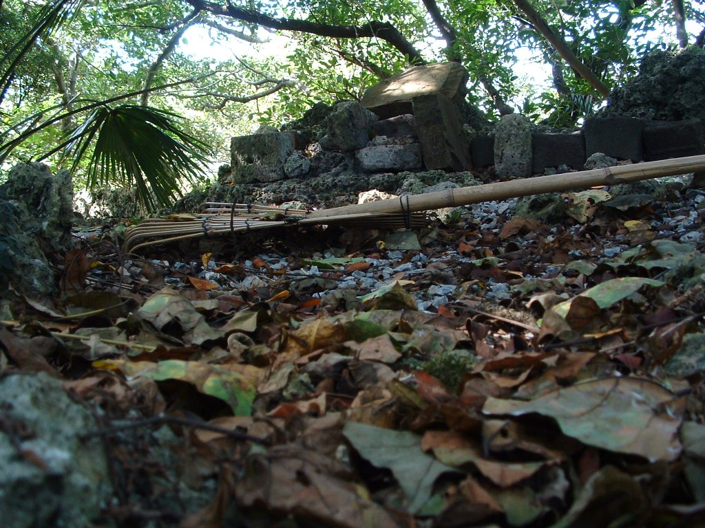 f:id:SQB:20130518174436j:image f:id:SQB:20130518174436j:image