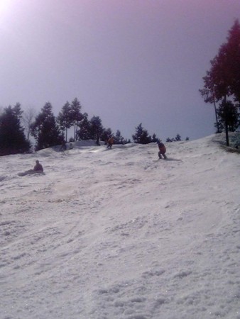 f:id:S_a_k_U:20090215123400j:image f:id:S_a_k_U:20090215123400j:image