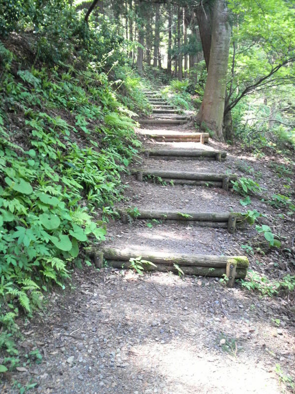 f:id:S_a_k_U:20090502123600j:image:h240