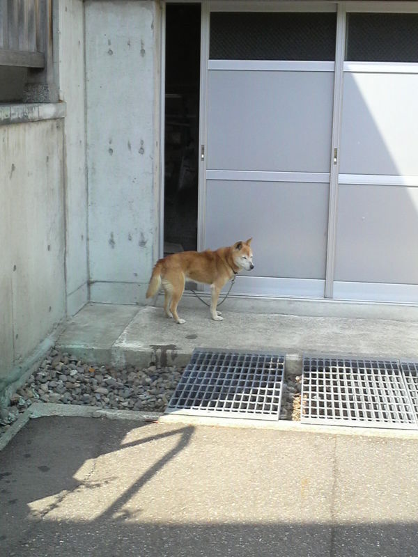f:id:S_a_k_U:20090502141000j:image:h240 f:id:S_a_k_U:20090502141000j:image:h240