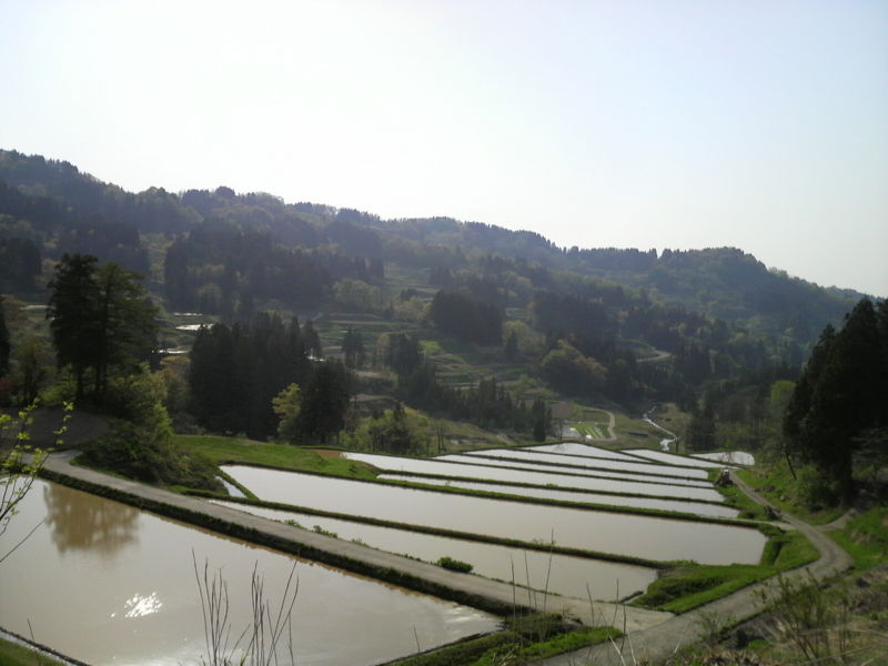 f:id:S_a_k_U:20090502154800j:image:w240 f:id:S_a_k_U:20090502154800j:image:w240