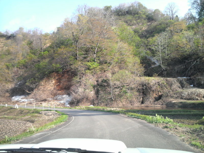 f:id:S_a_k_U:20090502160600j:image:w240 f:id:S_a_k_U:20090502160600j:image:w240