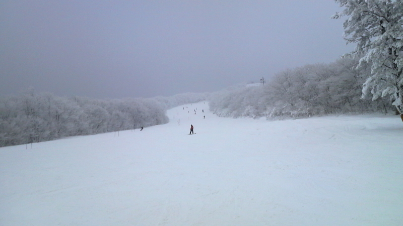 f:id:S_a_k_U:20100102103600j:image:w240