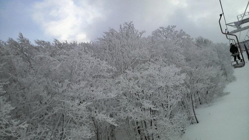 f:id:S_a_k_U:20100102105000j:image:w240