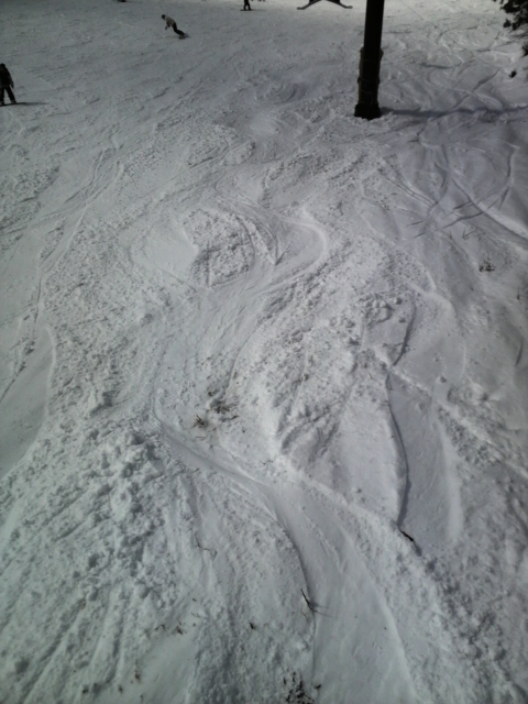 f:id:S_a_k_U:20100221134600j:image:h240 f:id:S_a_k_U:20100221134600j:image:h240