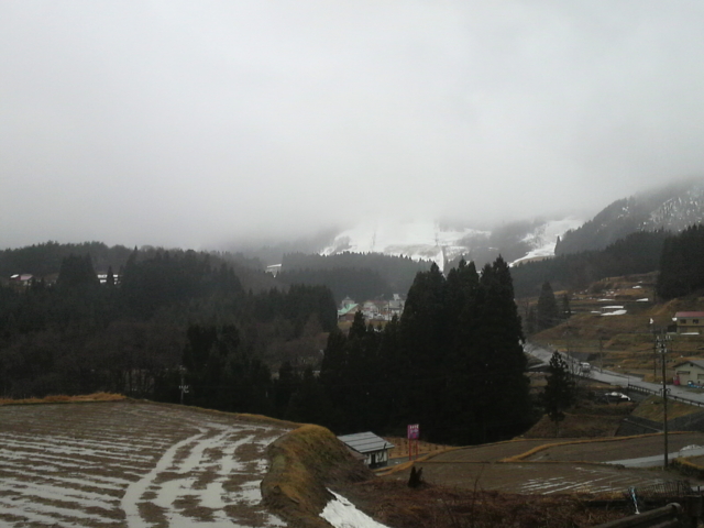 f:id:S_a_k_U:20100307115800j:image:w240