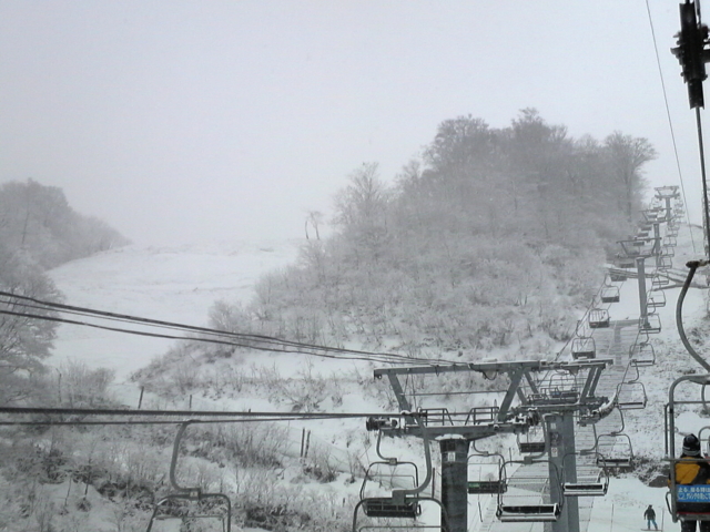 f:id:S_a_k_U:20100307123700j:image:w240