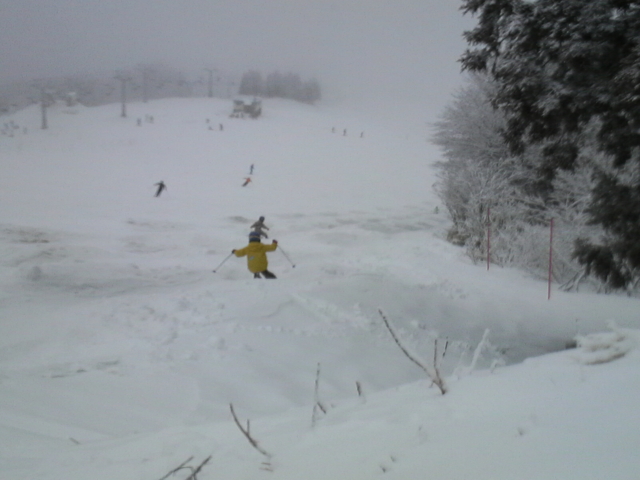 f:id:S_a_k_U:20100307152500j:image:w240