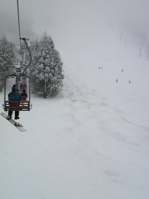 f:id:S_a_k_U:20100307154700j:image:h240