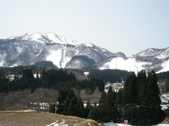 f:id:S_a_k_U:20100314120430j:image:w240