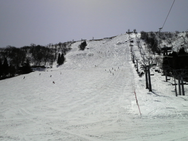 f:id:S_a_k_U:20100314123500j:image:w240