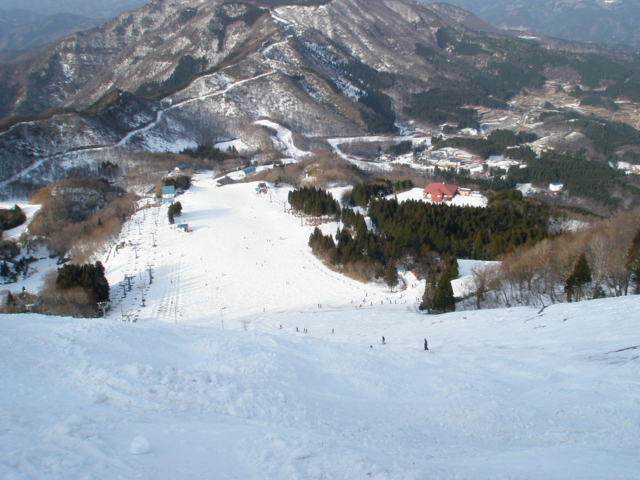 f:id:S_a_k_U:20100314162328j:image:w240