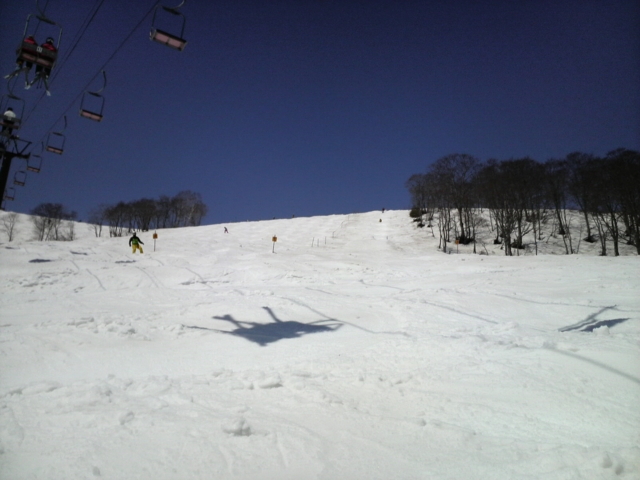 f:id:S_a_k_U:20100501110400j:image:w240