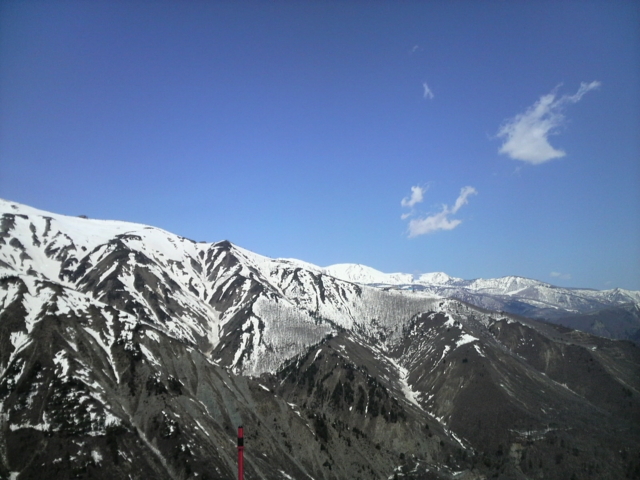 f:id:S_a_k_U:20100501112800j:image:w240 f:id:S_a_k_U:20100501112800j:image:w240