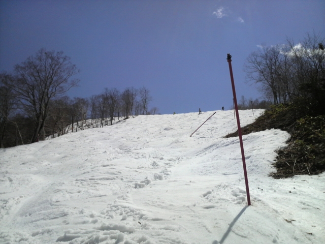 f:id:S_a_k_U:20100501113000j:image:w240