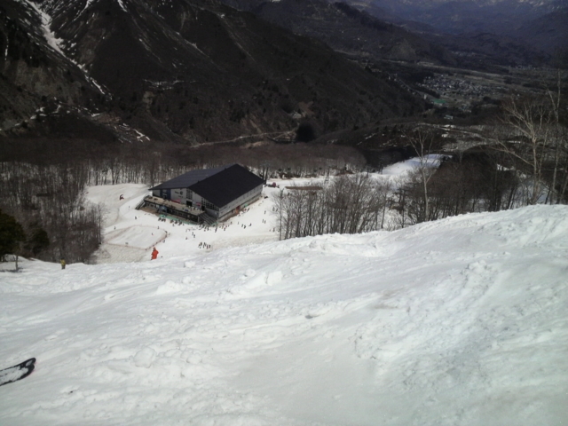 f:id:S_a_k_U:20100501113100j:image:w240 f:id:S_a_k_U:20100501113100j:image:w240