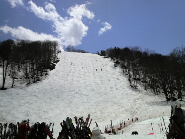 f:id:S_a_k_U:20100501122500j:image:w240 f:id:S_a_k_U:20100501122500j:image:w240