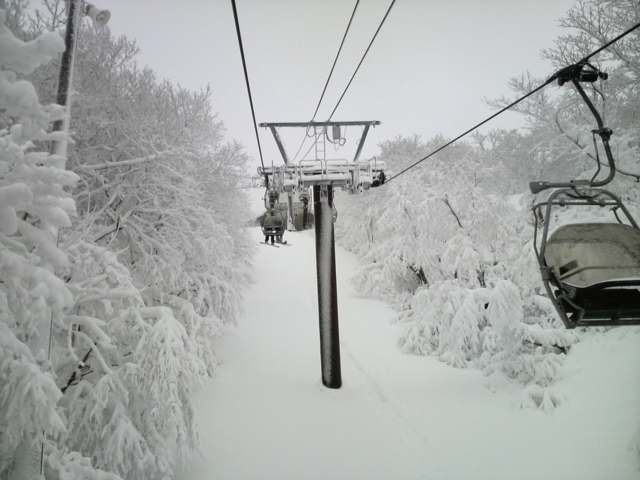 f:id:S_a_k_U:20101230135100j:image:w240