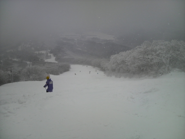 f:id:S_a_k_U:20101230135200j:image:w240 f:id:S_a_k_U:20101230135200j:image:w240