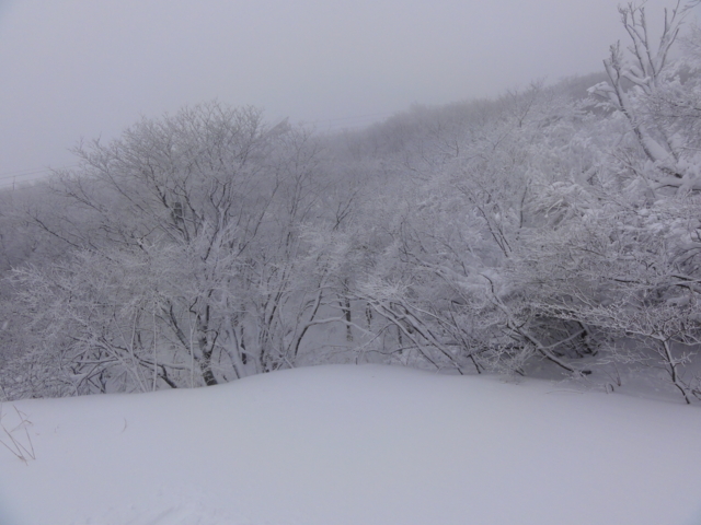 f:id:S_a_k_U:20101230141820j:image:w240 f:id:S_a_k_U:20101230141820j:image:w240