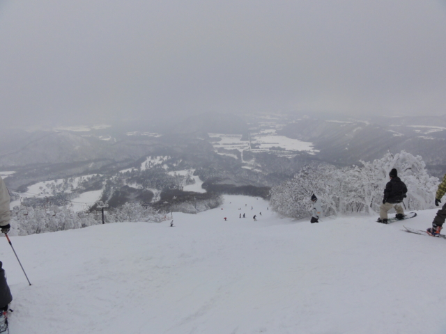 f:id:S_a_k_U:20110122114839j:image:w240