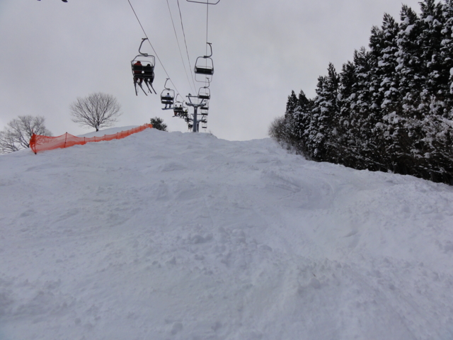 f:id:S_a_k_U:20110130140405j:image:w240