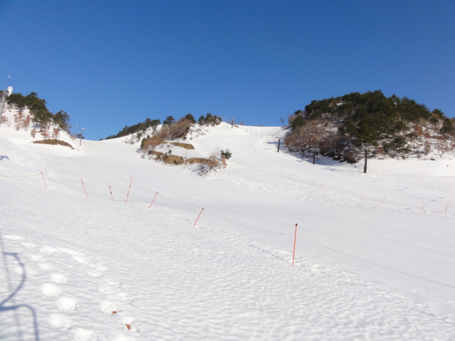 f:id:S_a_k_U:20110226081808j:image:w240 f:id:S_a_k_U:20110226081808j:image:w240