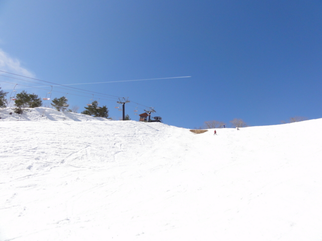 f:id:S_a_k_U:20110226133549j:image:w240 f:id:S_a_k_U:20110226133549j:image:w240