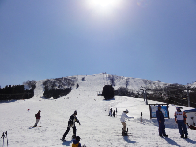 f:id:S_a_k_U:20110313131311j:image:w240 f:id:S_a_k_U:20110313131311j:image:w240