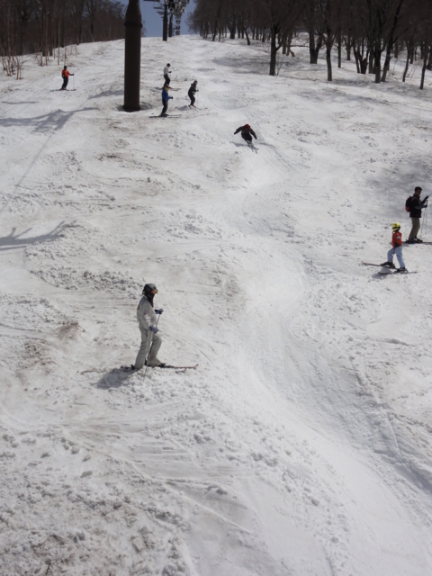 f:id:S_a_k_U:20110504124940j:image:h240