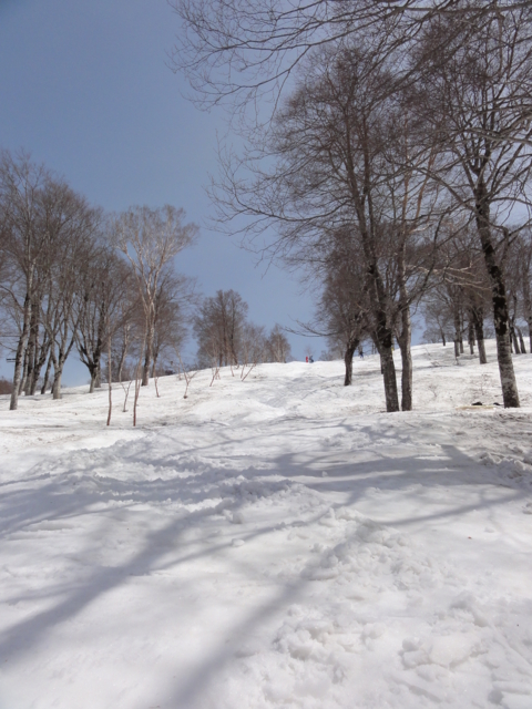 f:id:S_a_k_U:20110504131710j:image:h240