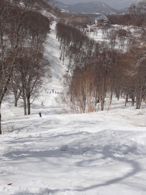 f:id:S_a_k_U:20110504131718j:image:h240