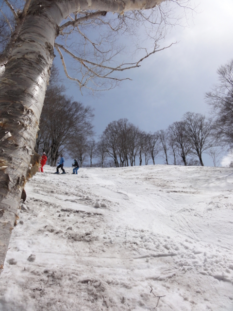 f:id:S_a_k_U:20110504131825j:image:h240