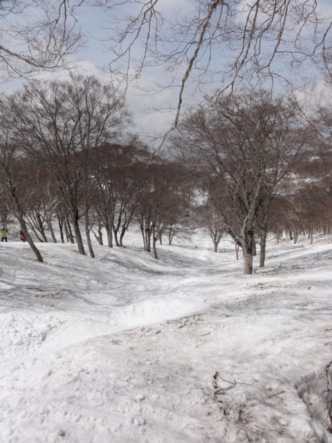 f:id:S_a_k_U:20110504131835j:image:h240