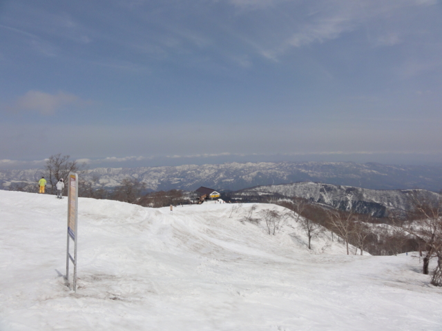 f:id:S_a_k_U:20110505102806j:image:w240 f:id:S_a_k_U:20110505102806j:image:w240