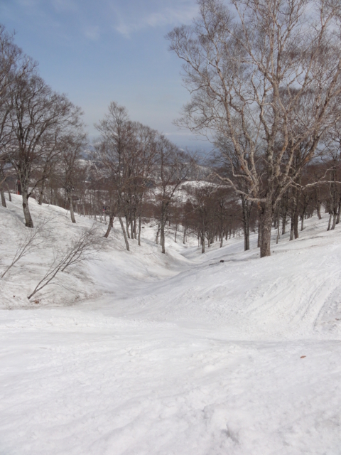 f:id:S_a_k_U:20110505103009j:image:h240