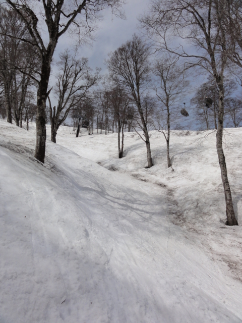 f:id:S_a_k_U:20110505103200j:image:h240 f:id:S_a_k_U:20110505103200j:image:h240