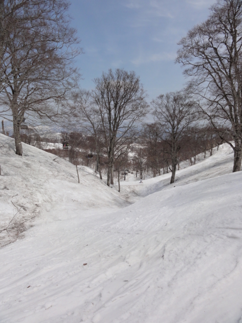 f:id:S_a_k_U:20110505103206j:image:h240