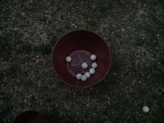 f:id:S_a_k_U:20111210170300j:image:w240