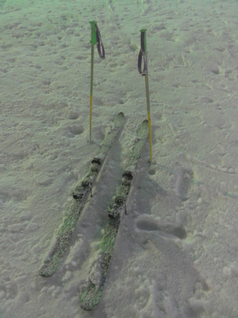 f:id:S_a_k_U:20111229180833j:image:w240 f:id:S_a_k_U:20111229180833j:image:w240