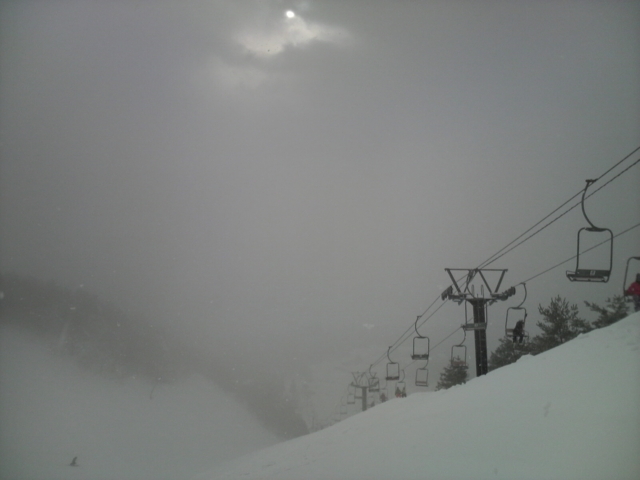 f:id:S_a_k_U:20120114090800j:image:w240 f:id:S_a_k_U:20120114090800j:image:w240