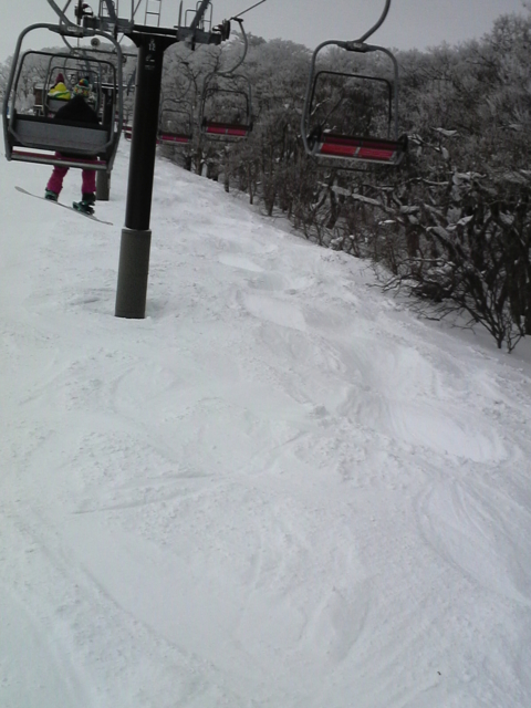 f:id:S_a_k_U:20120115084700j:image:h240