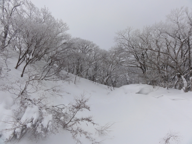 f:id:S_a_k_U:20120115084920j:image:w240