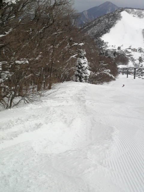 f:id:S_a_k_U:20120115085300j:image:h240