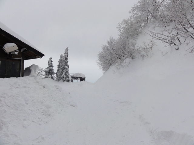 f:id:S_a_k_U:20120115100330j:image:w240