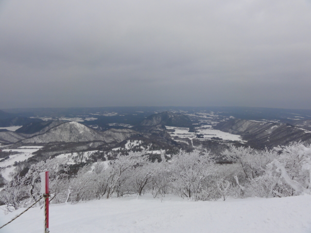 f:id:S_a_k_U:20120115104222j:image:w240