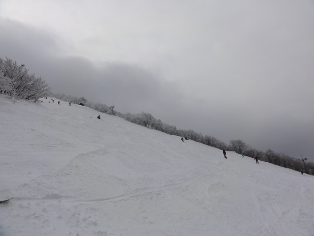 f:id:S_a_k_U:20120115104410j:image:w240