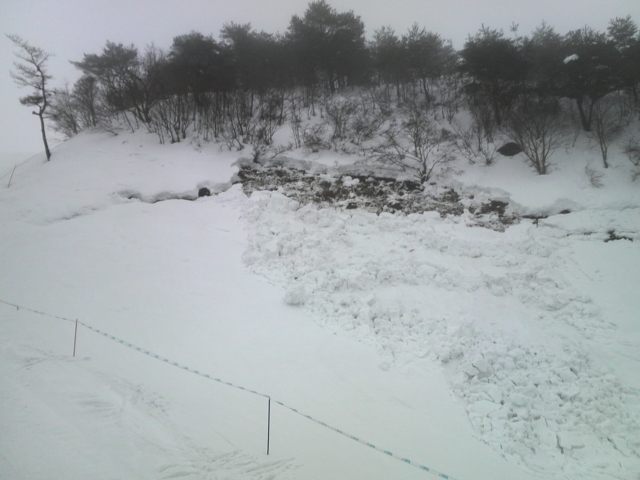 f:id:S_a_k_U:20120121091900j:image:w240 f:id:S_a_k_U:20120121091900j:image:w240