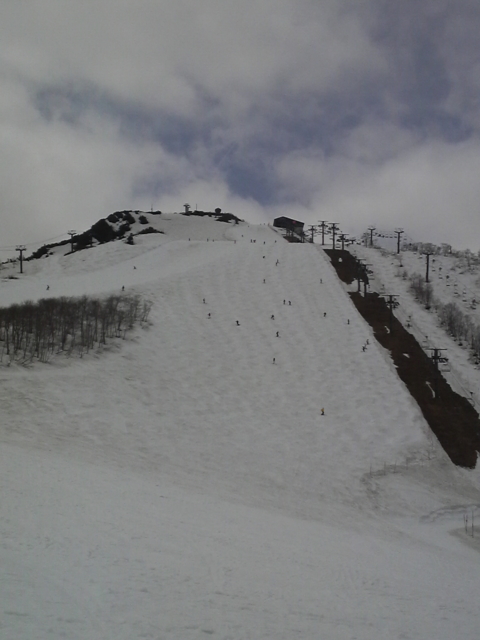 f:id:S_a_k_U:20120501114800j:image:h240 f:id:S_a_k_U:20120501114800j:image:h240